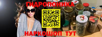 a pvp Майкоп